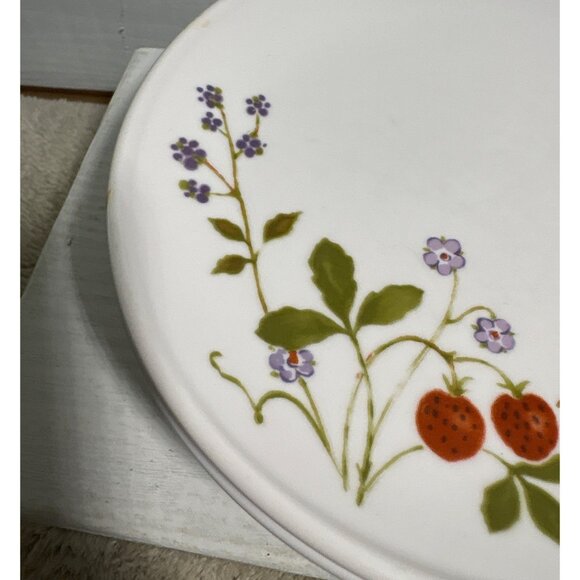 Noritake Progression China BerriesN Such 9070 Dessert Plate Set Of 5 Japan 6.25" - Picture 3 of 8